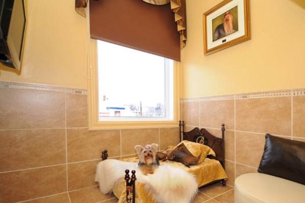 35 Pet Friendly Hotel - Rennes Airport