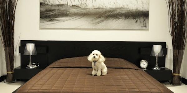 44 Pet Friendly Hotel - Nantes Airport