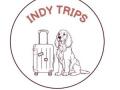 Hotel acceptant animaux lille gite acceptant chien chat nord 59