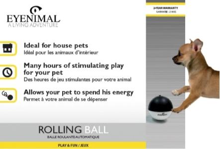 Jouet balle automatique pour chat jouet interactif chat prix pas cher