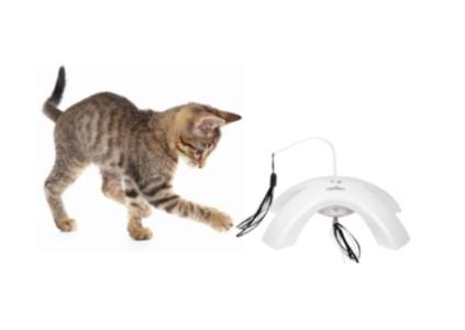 Jouet ruban automatique pour chat jouet chat vente promo prix pas cher