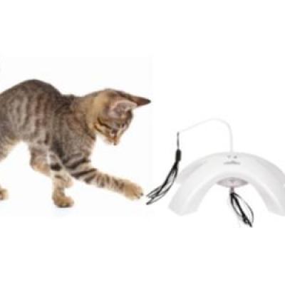 Jouet ruban automatique pour chat jouet chat vente promo prix pas cher