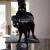Lexique animaux dictionnaire animalier vocabulaire