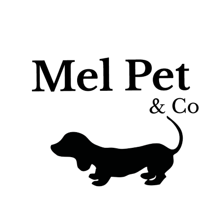 Magazine animalier canin