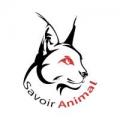 Magazine animaux domestiques sauvages france