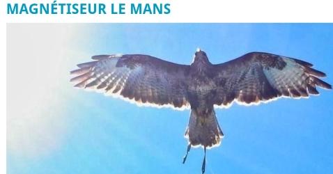 72 Magnétiseur animaux & Soins énergétiques animaliers - Le Mans