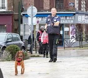 Mantrailing educateur canin education canine dresseur de chien france dom tom belgique