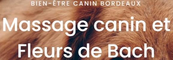 Massage canin masseur pour chien massage pour animaux soins animaliers bordeaux gironde 33