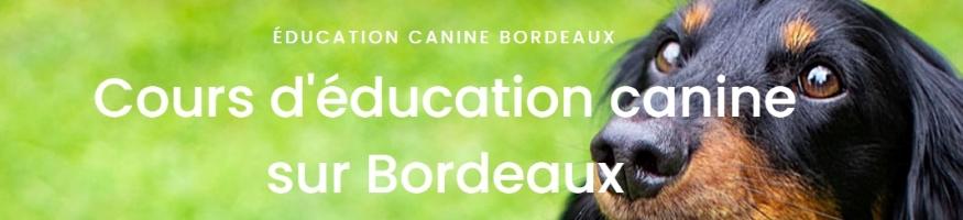 Massage canin masseur pour chien massage pour animaux soins animaliers bordeaux gironde 36