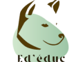 Massage canin masseur pour chien massage pour animaux soins animaliers bordeaux gironde