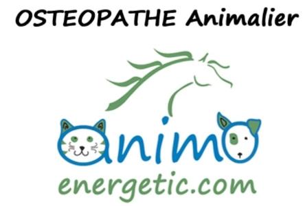 16 Massage animaux & Shiatsu animalier - Angoulême