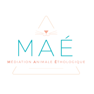 50 Animal mediation - Avranches Saint-James