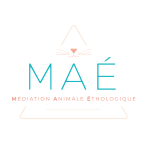 53 Animal mediation - Ernée Saint-Denis-de-Gastines