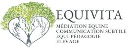 Mediation animale narbonne equitherapie carcassonne mediation equine aude 11