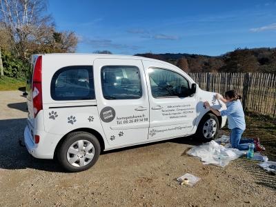 Mediation animale perigueux intervenant mediateur animaux dordogne 24 2