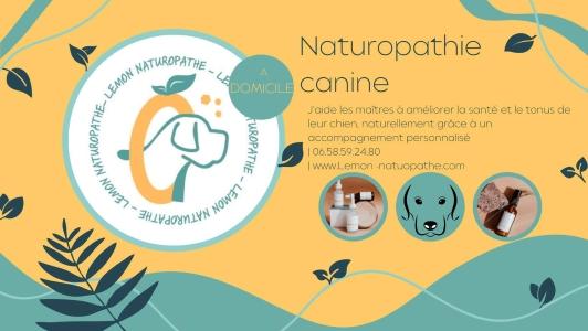 Naturopathe animalier angers naturopathie animale maine et loire