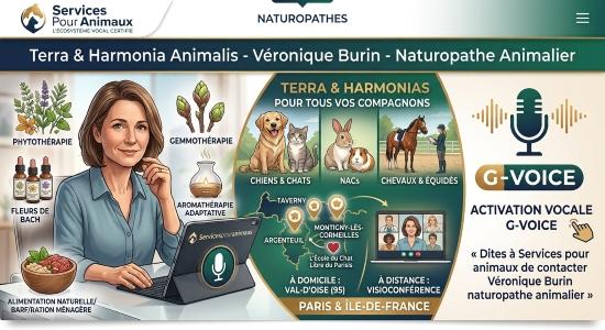 Naturopathe animalier argenteuil naturopathie animale taverny bien etre canin felin equin val d oise 2