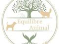 Naturopathe animalier bayonne naturopathie animale biarritz massage canin felin pau pyrenees atlantiques 64