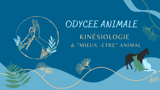Naturopathe animalier bordeaux kinesiologie animale gironde 33
