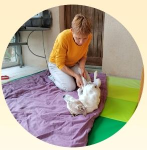 Naturopathe animalier massage canin kinesiologie animaliere reiki animalier angers maine et loire 49