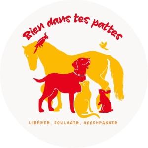72 Massage canin, Reiki animalier, Kinésiologie - Le Mans