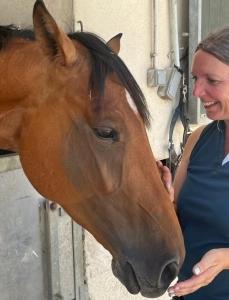 Naturopathe animalier melun naturopathie equine canine feline fontainebleau seine et marne 77 1