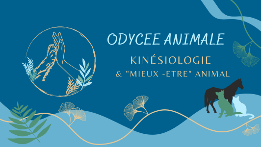 Naturopathe animalier mont de marsan kinesiologie animale dax landes 40