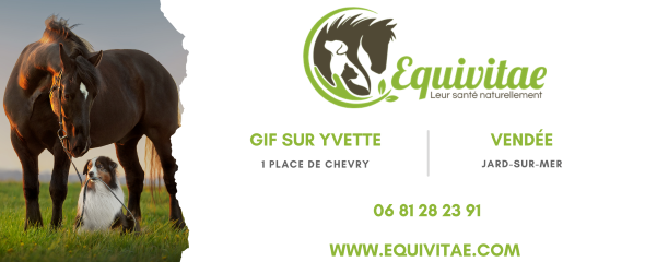 Naturopathe animalier naturopathie animale canin equin evry gif sur yvette essonne 91 1