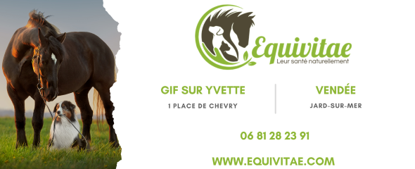 Naturopathe animalier naturopathie animale canin equin versailles 78 yvelines