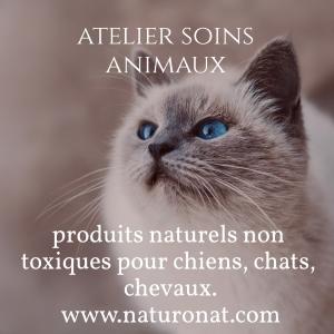 Naturopathe animalier naturopathie animale naturopathe canin felin equin manosque digne les bains 04 alpes de haute provence