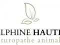 Naturopathe animalier naturopathie animale naturopathe canin felin equin marseille aubagne 13 bouches du rhone