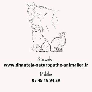 Naturopathe animalier naturopathie animale naturopathe canin felin equin marseille aubagne bouches du rhone 13 1