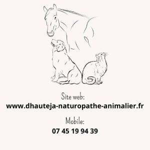 Naturopathe animalier naturopathie animale naturopathe canin felin equin toulon var 83 2