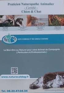 Naturopathe animalier naturopathie animale naturopathe canin felin toulouse 31 haute garonne 1