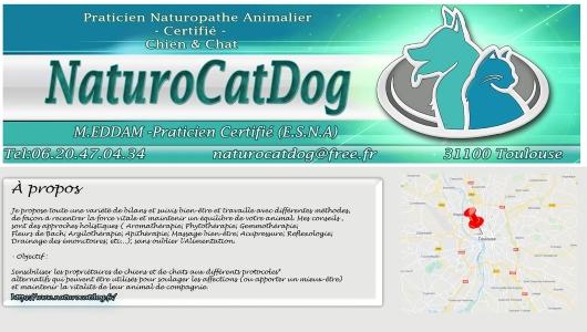 Naturopathe animalier naturopathie animale naturopathe canin felin toulouse 31 haute garonne