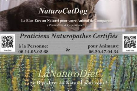 Naturopathe animalier naturopathie animale naturopathe canin felin toulouse haute garonne 31