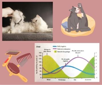 Naturopathe animalier naturopathie animale naturopathe equin canin felin dole lons le saunier jura 39 1