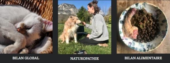 Naturopathe animalier naturopathie animale naturopathe equin canin felin privas ardeche 8