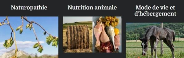 Naturopathe animalier naturopathie animale naturopathe equin canin felin valence montelimar 26 drome 1