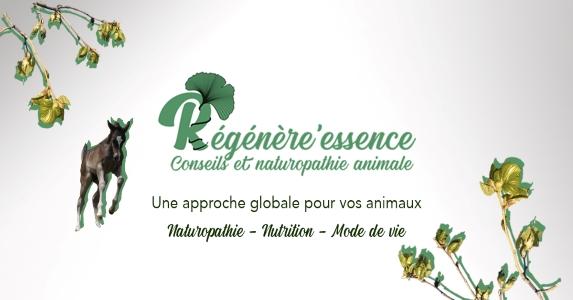 Naturopathe animalier naturopathie animale naturopathe equin canin felin valence montelimar drome 26 1