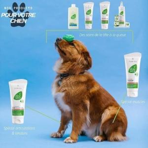 Naturopathe animalier naturopathie animale nimes gard