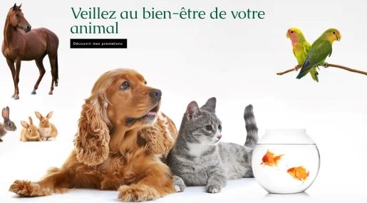 Naturopathe animalier reiki animaux nutrition animale pau orthez 64 pyrenees atlantiques