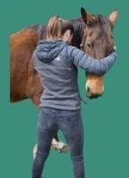 Osteopathe animalier cherbourg osteopathie animale granville bien etre animal manche 50