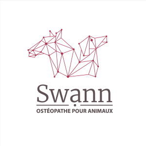 27 Animal Osteopath - Evreux Vernon Louviers