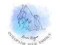 Osteopathe animalier la rochelle osteopathie animale saintes osteopathe canin felin equin bovin charentes maritimes 17
