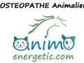 Osteopathe animalier perigueux osteopathie animale bergerac osteopathe canin felin equin bovin dordogne 24