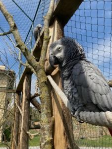 Parc animalier campuzan tarbes hautes pyrenees 65 france