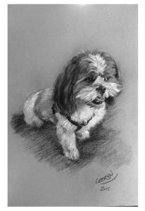 Peintre animalier nice vente peinture animaliere grasse achat aquarelle animaliere cannes portraitiste animalier alpes maritimes 06 2