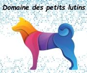 Pension canine chalon sur saone garde de chien macon garde d animaux saone et loire 71 1