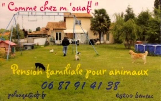 65 Garde d'animaux & Pet Sitter - Tarbes Séméac